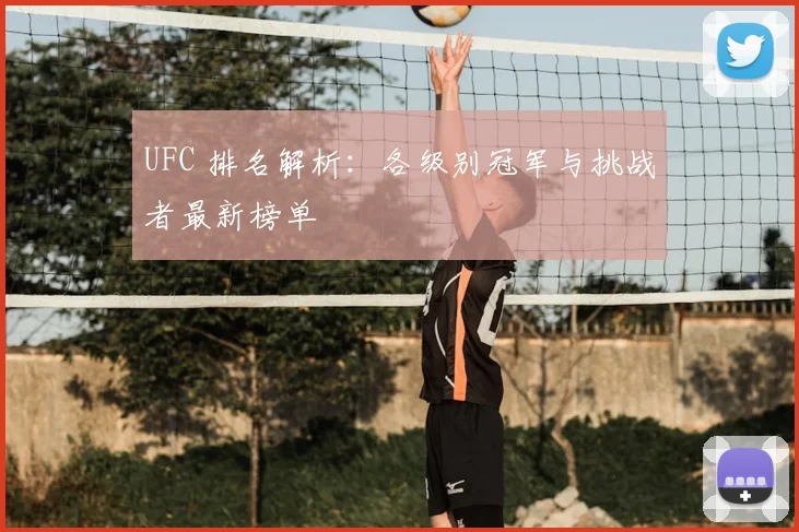 UFC 排名解析：各级别冠军与挑战者最新榜单
