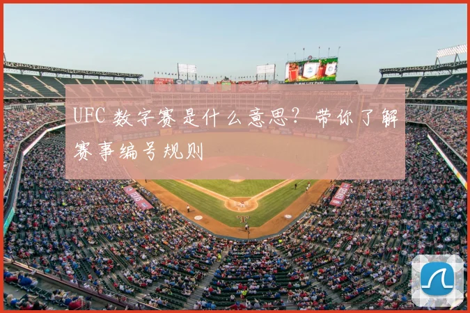 UFC 数字赛是什么意思？带你了解赛事编号规则