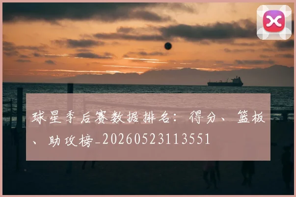 球星季后赛数据排名:得分、篮板、助攻榜_20260523113551