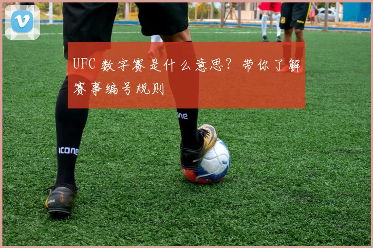 UFC 数字赛是什么意思？带你了解赛事编号规则